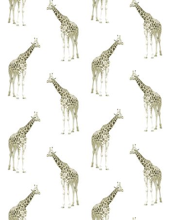 433336-长颈鹿简约清新华亿平台