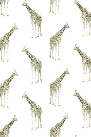 长颈鹿印花华亿平台图片