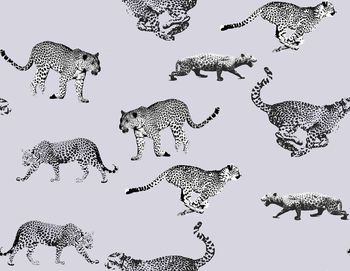 433369-奔跑吧，豹子