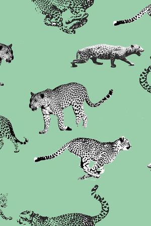 豹子印花华亿平台图片