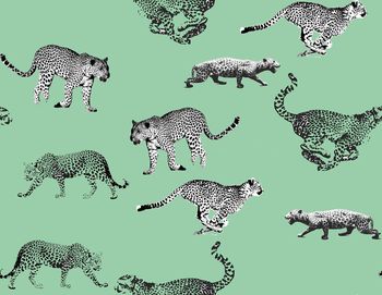 433370-奔跑吧，豹子