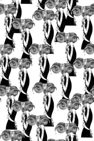 动物印花华亿平台图片