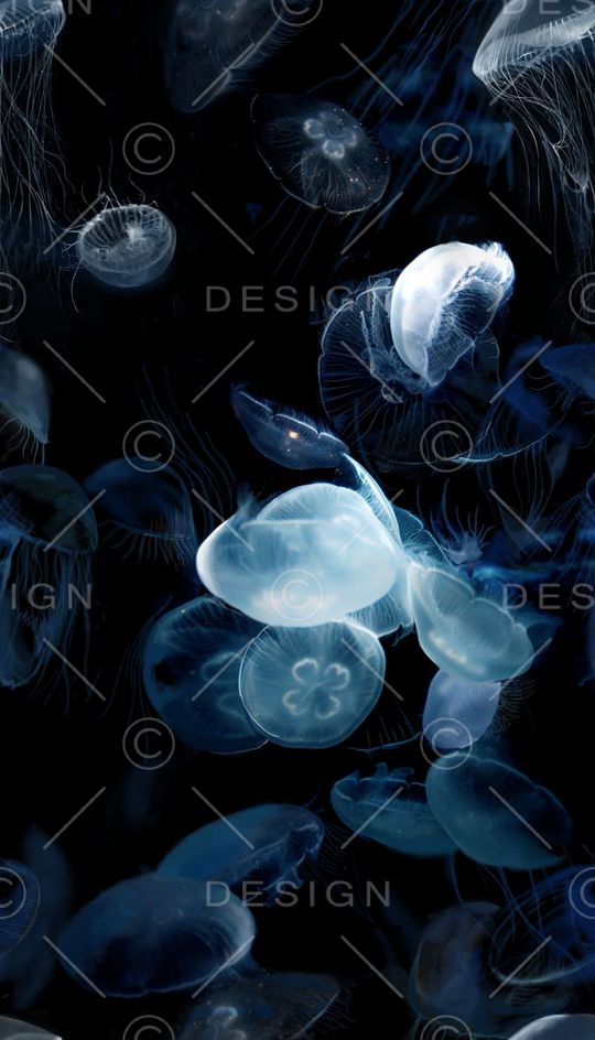 动物印花华亿平台图片