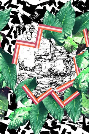 热带印花华亿平台图片