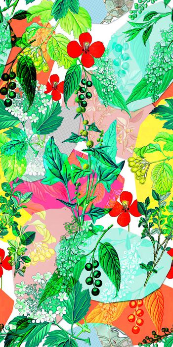 433513-写意 色块 手绘植物 花卉 画稿 