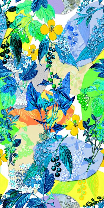 433514-写意 色块 手绘植物 花卉 画稿 