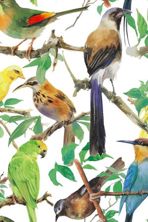 清新印花华亿平台图片