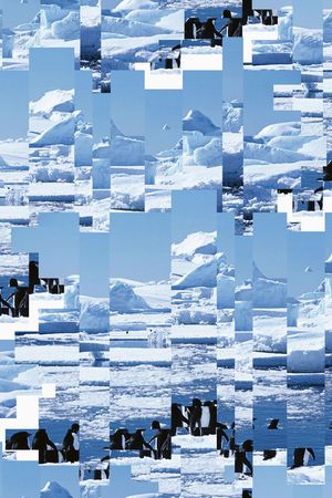 复古印花华亿平台图片