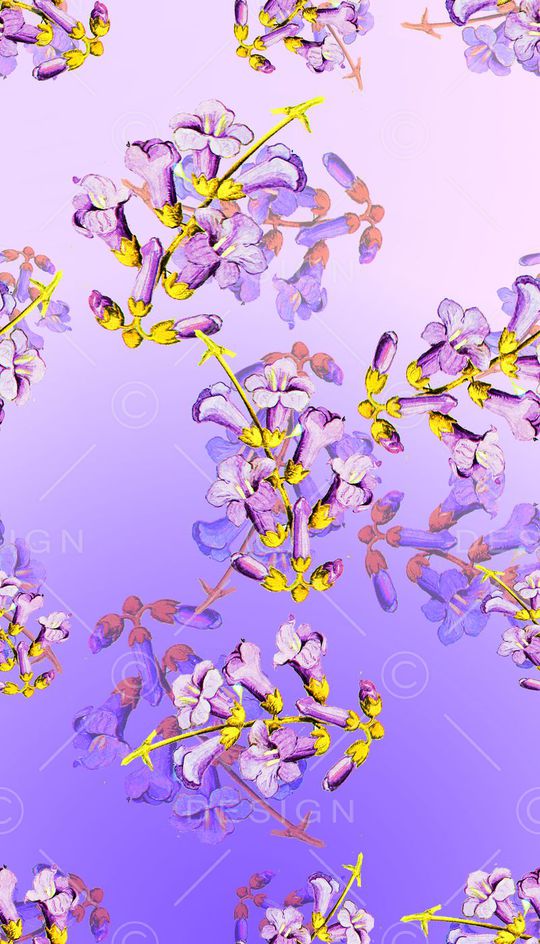 喇叭花印花华亿平台图片