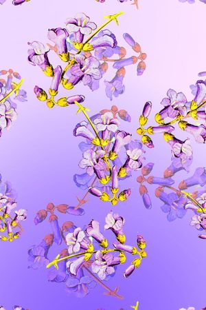 喇叭花印花华亿平台图片