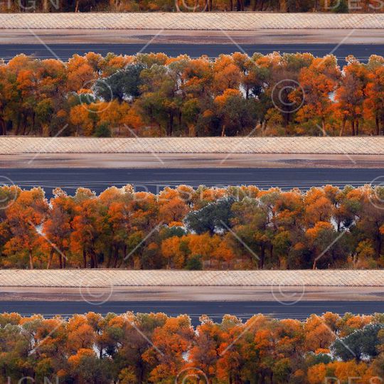 潮流印花华亿平台图片