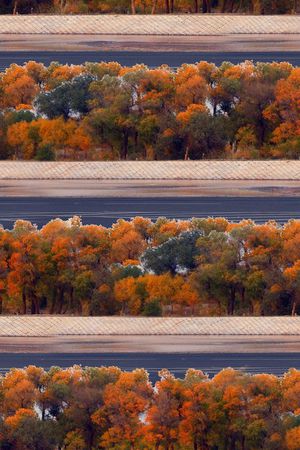 潮流印花华亿平台图片