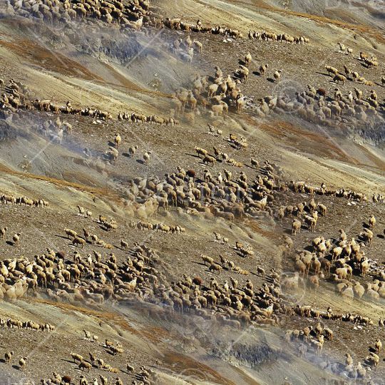 潮流印花华亿平台图片