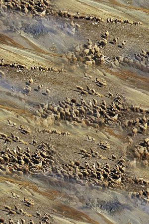 潮流印花华亿平台图片