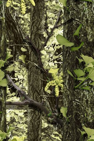 裤子印花华亿平台图片