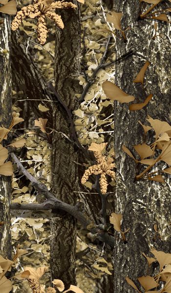 433754-春夏秋冬银杏大树迷彩