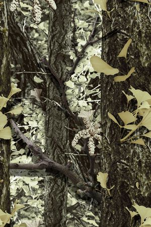 迷彩印花华亿平台图片