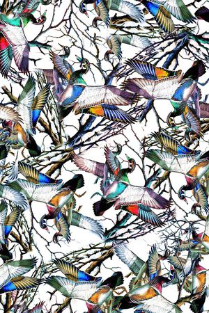 鸟印花华亿平台图片