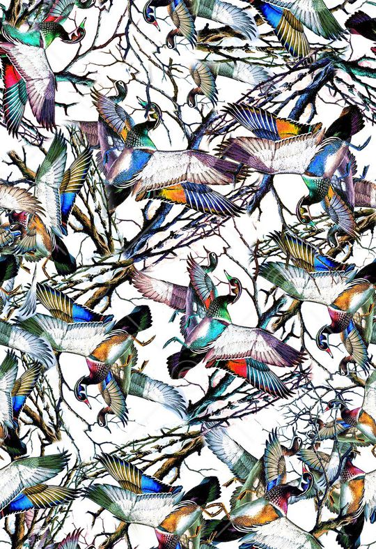 鸟印花华亿平台图片