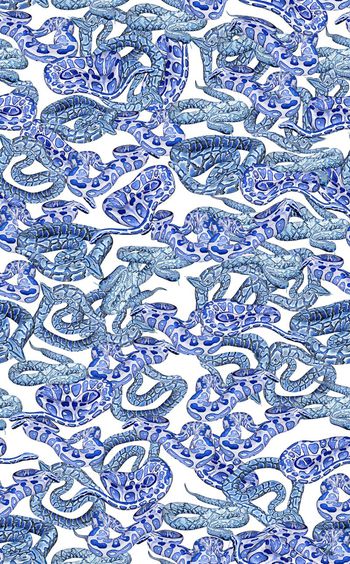 433796-民族风蟒蛇青花蛇群动物纹蛇皮蛇纹组