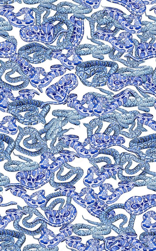 动物纹印花华亿平台图片