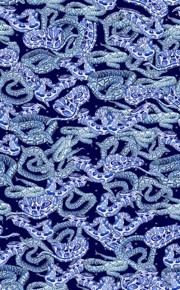 433798-民族风蟒蛇青花蛇群动物纹蛇皮蛇纹组
