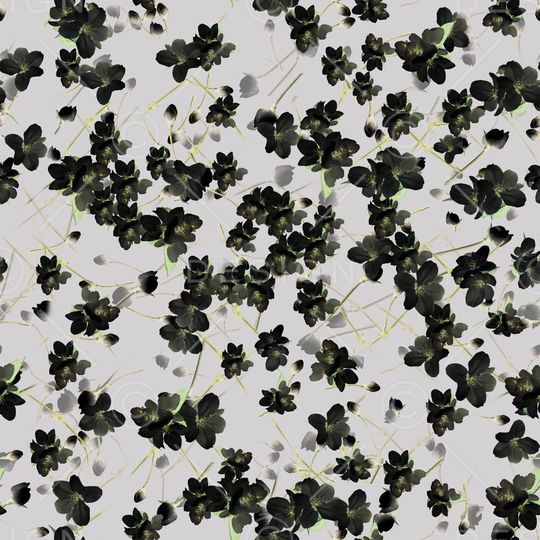 Givenchy印花华亿平台图片