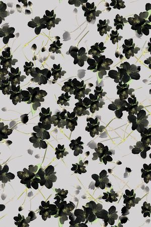 Givenchy印花华亿平台图片