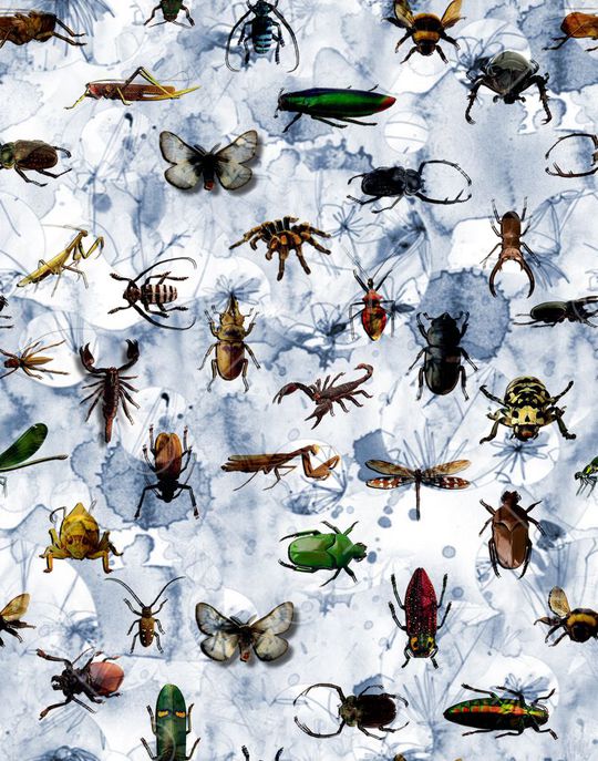 潮流时尚印花华亿平台图片