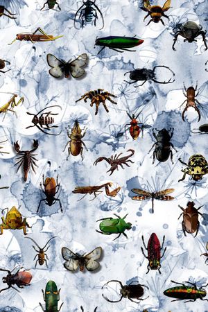 潮流时尚印花华亿平台图片