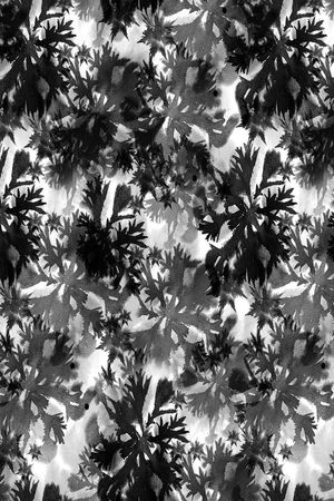 潮流印花华亿平台图片