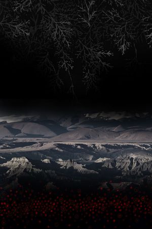 暗色调印花华亿平台图片