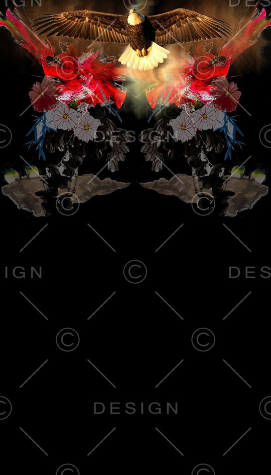 白头鹰印花华亿平台图片