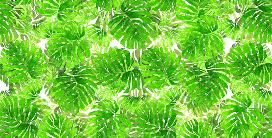 绿叶印花华亿平台图片