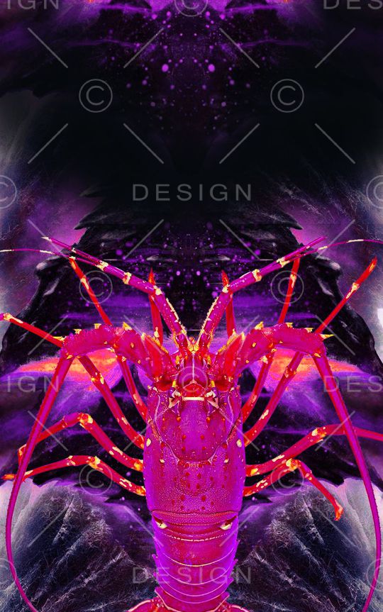 大龙虾印花华亿平台图片