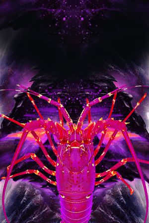 大龙虾印花华亿平台图片