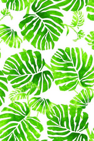 少绿叶.印花华亿平台图片