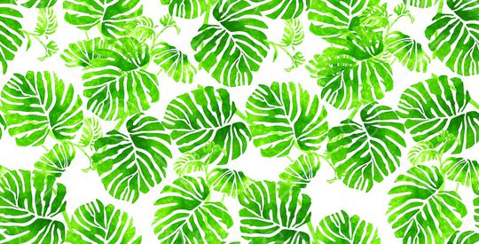 少绿叶.印花华亿平台图片