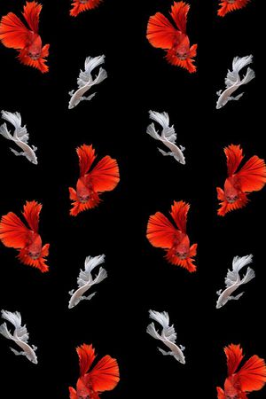 白印花华亿平台图片