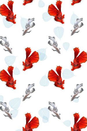 鱼印花华亿平台图片