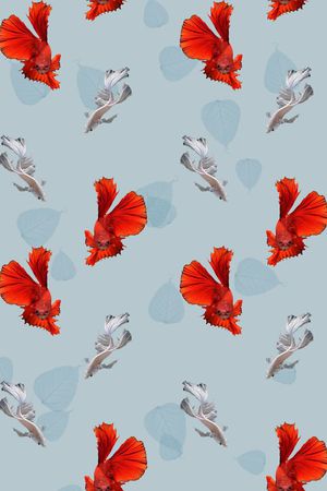 鱼印花华亿平台图片