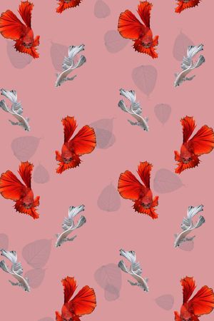 鱼印花华亿平台图片