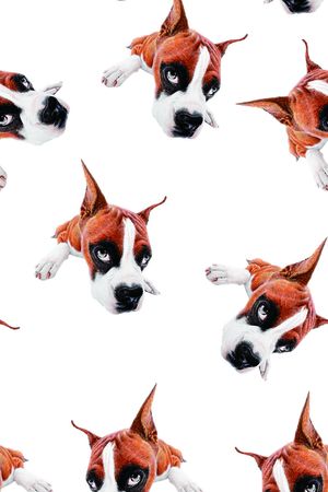 动物印花华亿平台图片