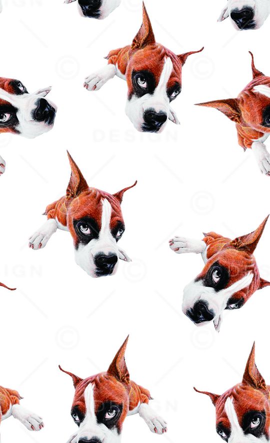 动物印花华亿平台图片