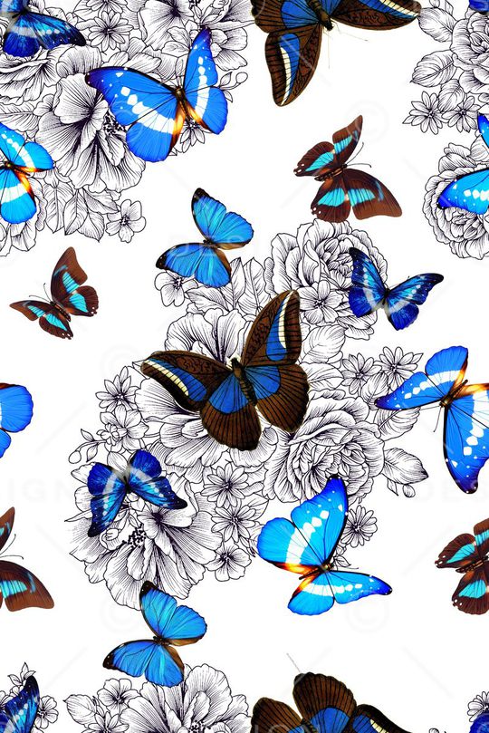 蓝色蝴蝶彩蝶印花华亿平台图片