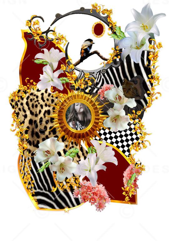 定位宫廷女装黄金花纹印花华亿平台图片