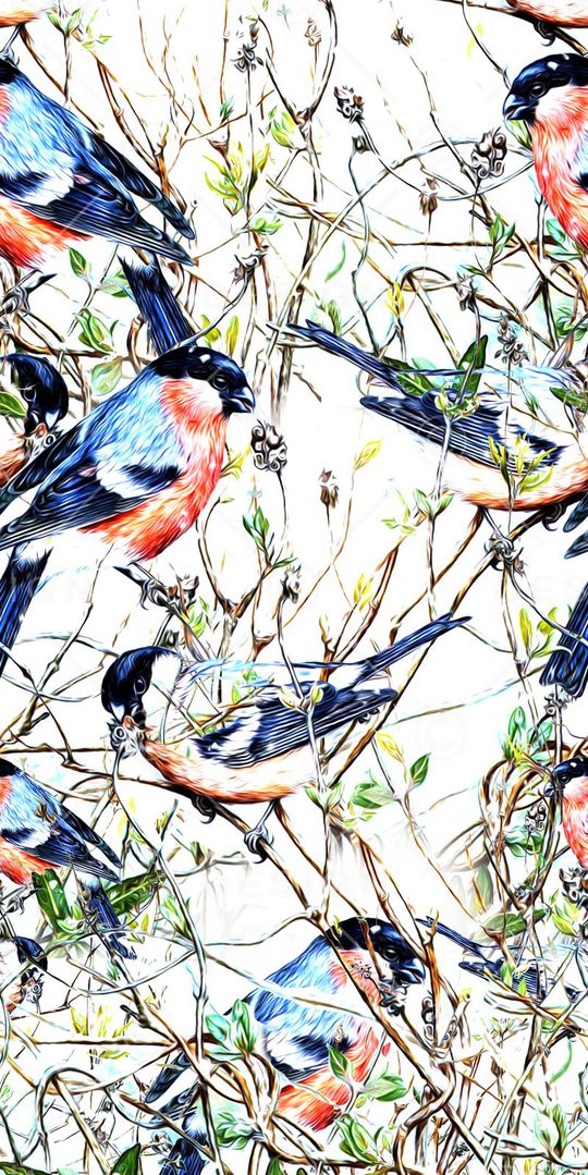 数码 服装印花华亿平台图片