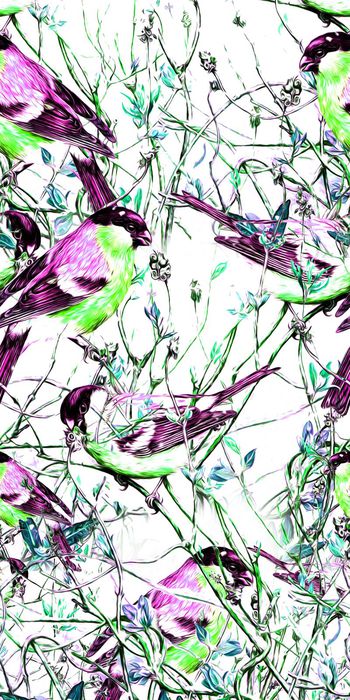 434531-手绘 寒冬 枝条 鸟 画稿 数码 