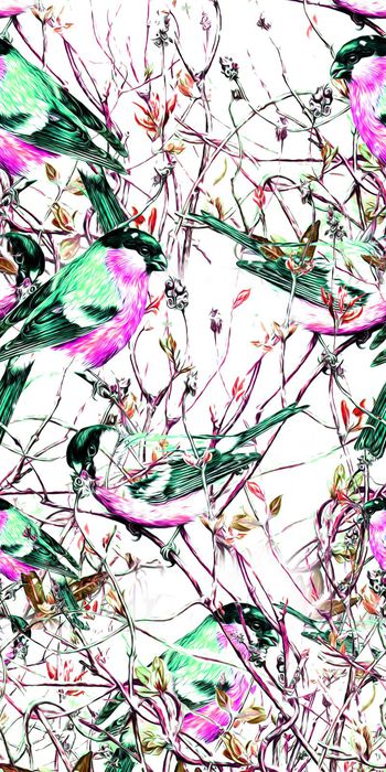 434532-手绘 寒冬 枝条 鸟 画稿 数码 