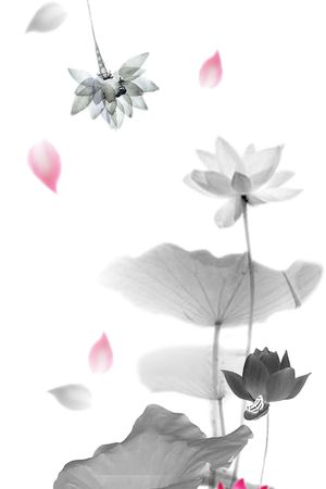 荷花印花华亿平台图片